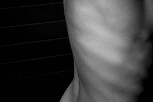 Thumbnail image for How To Lose Muscle While Dieting
