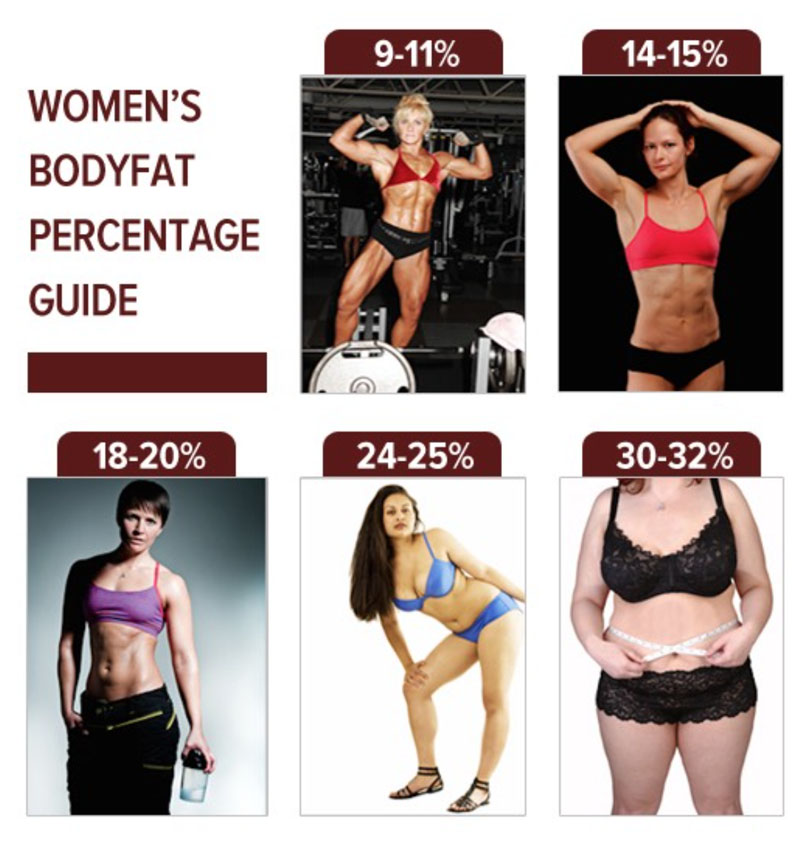 hot bod fat loss body fat % chart