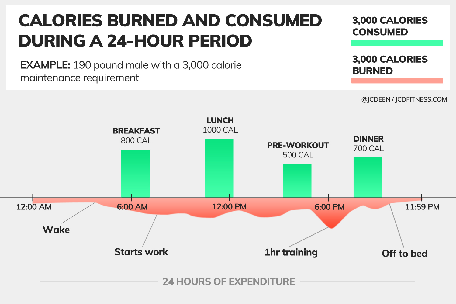 What Is Calorie Intake And Expenditure