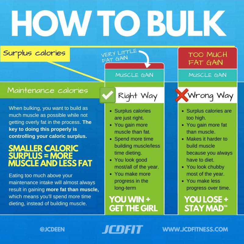 A Beginner's Guide to Bulking & Cutting